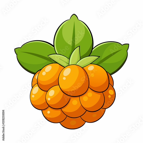 vector illustration of a cloudberry fruit