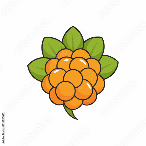 vector illustration of a cloudberry fruit