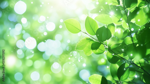 爽やかな新緑の木漏れ日背景