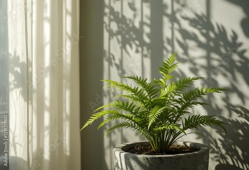 Fresh green fern fronds in concrete planter near window, geometric shadows on sage wall. Natural morning peaceful light. Ideal for wellness, mindful living themes.