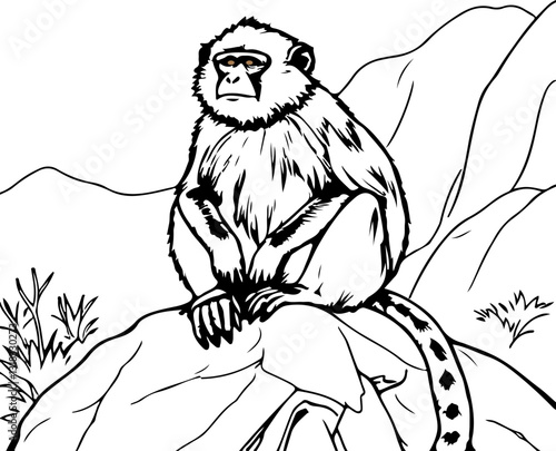 abstract illustration of a langur or monkey sitting on a tree
