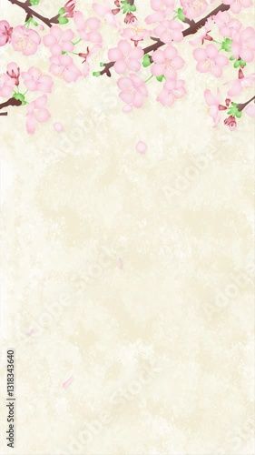 和紙と桜の枝の背景に舞う花びら 縦長ループ動画