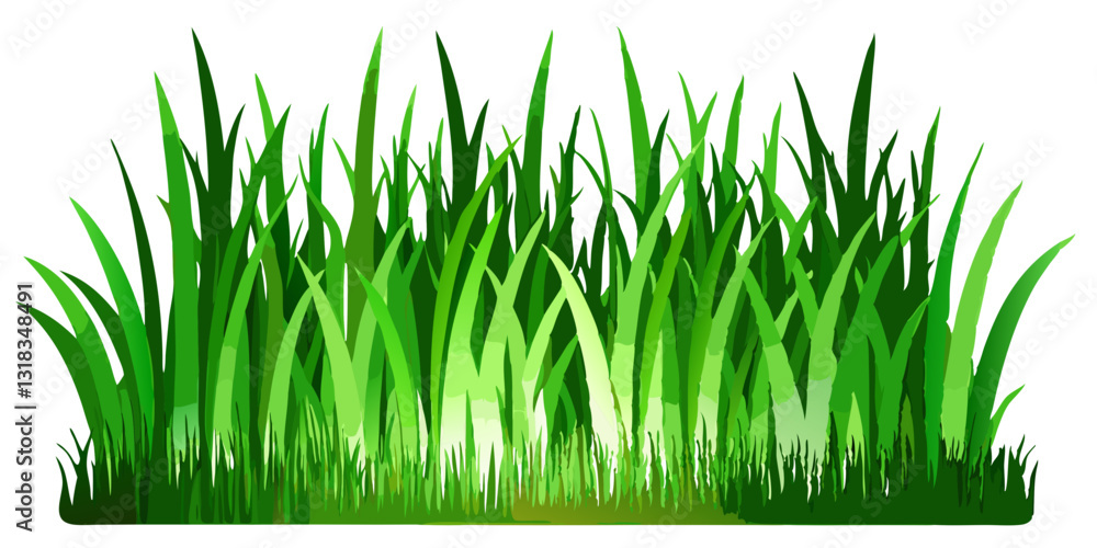 Fototapeta premium Green Grass Meadow Border | Natural Decorative Vector
