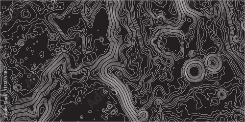 Integrating Organic Wave-Like Forms with the Technical Precision of Contour Mapping to Produce a Topographic Design that is Both Geographically Accurate and Artistically Engaging

