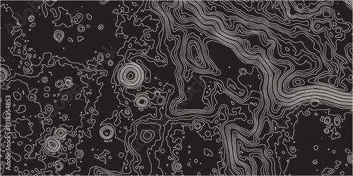 Integrating Organic Wave-Like Forms with the Technical Precision of Contour Mapping to Produce a Topographic Design that is Both Geographically Accurate and Artistically Engaging

