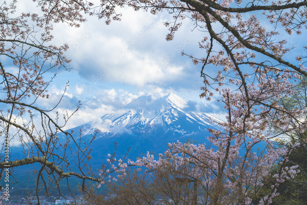 Fujiyoshida, Yamanashi Prefecture, Japan - April 17, 2024: Spring cherry blossoms in bloom and Mount Fuji in the background. Landmarks and popular tourist attractions. Fujiyoshida, Yamanashi Prefecture, Japan - April 17, 2024: Spring cherry blossoms in bloom and Mount Fuji in the background. Landmarks and popular tourist attractions.