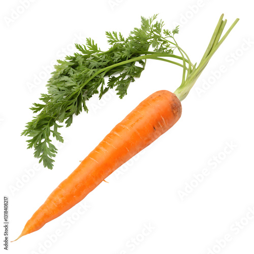 Carrot isolated on white background