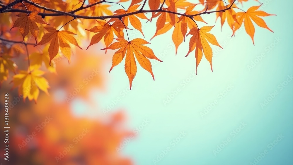 Colorful foliage in the park featuring leaves against a sky background with trees, showcasing leaves in a vintage hue. Colorful foliage in the park featuring leaves against a sky background with trees, showcasing leaves in a vintage hue.