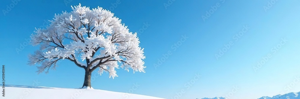Tree with snow covered branches against blue sky, landscape, nature, frozen Tree with snow covered branches against blue sky, landscape, nature, frozen