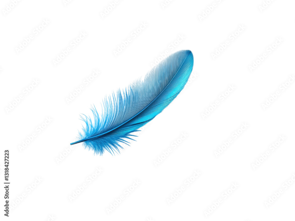 Blue decorative element concept. Blue feather floating against on white or transparent png. Blue decorative element concept. Blue feather floating against on white or transparent png.
