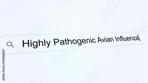 Highly Pathogenic Avian Influenza typing with  Flickering, Visible Pixels and Focus Shift effects on computer screen