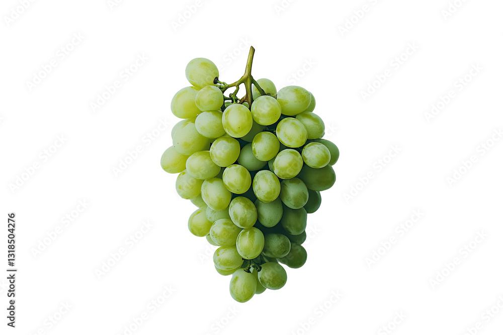Isolated bunch of green grapes Isolated bunch of green grapes