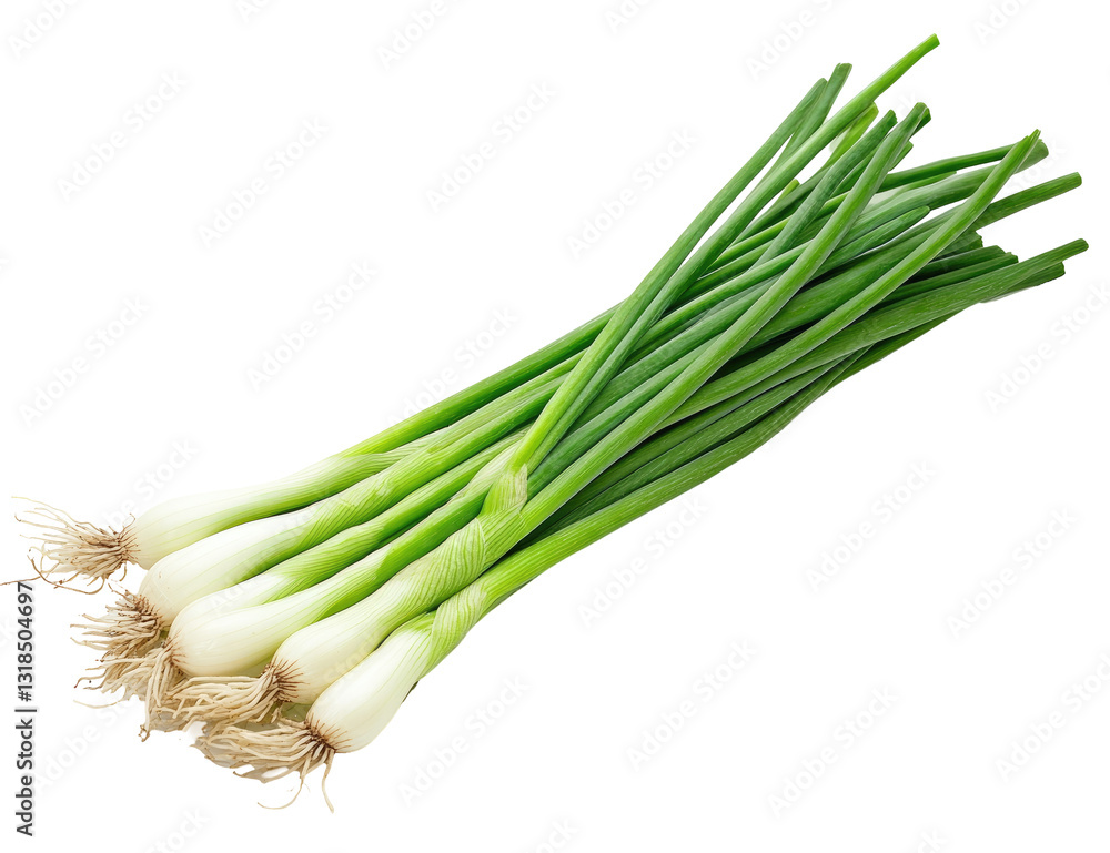 Fresh green onions bunch, studio shot, isolated, healthy food Fresh green onions bunch, studio shot, isolated, healthy food