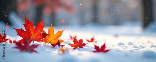 Delicate maple leaves fall gently on a snowy ground, foliage, winter