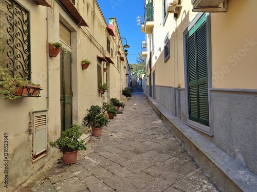 Napoli - Nucleo abitato lungo Discesa Gaiola photo