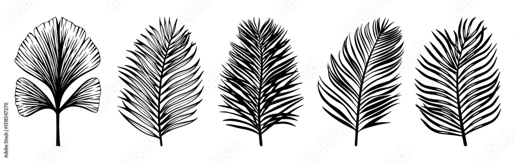 set palm tree leaf silhouettes in various shapes and sizes, showcasing intricate details and textures. Perfect for tropical themed designs or nature inspired projects set palm tree leaf silhouettes in various shapes and sizes, showcasing intricate details and textures. Perfect for tropical themed designs or nature inspired projects