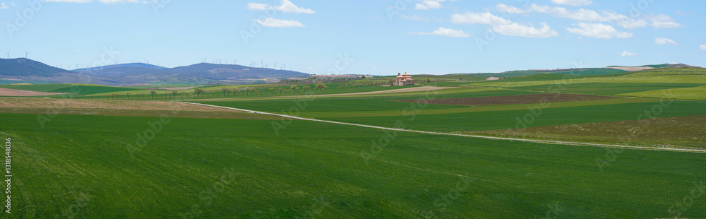 Cultivated fields surround the village at the foot of windmills Cultivated fields surround the village at the foot of windmills