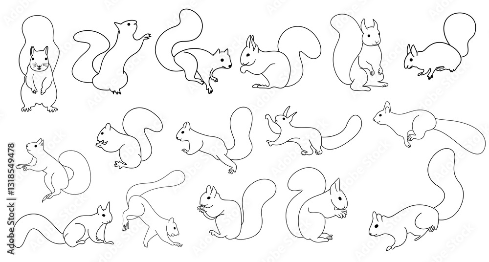 Obraz premium Squirrel doodle hand drawn elements clipart set