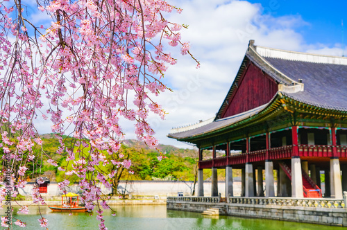 Photography View of the beautiful cherry blossoms with a traditional Korean house next to a lake in spring in Seoul