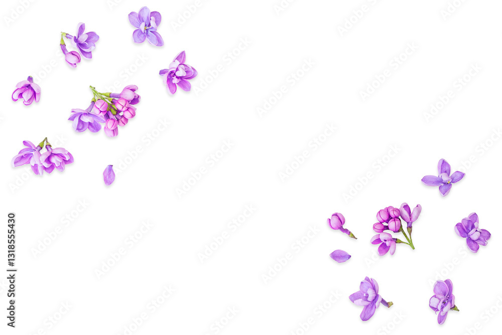 Flowers composition. Frame made of lilac flowers on white background. Clipping path. No AI tools Flowers composition. Frame made of lilac flowers on white background. Clipping path. No AI tools