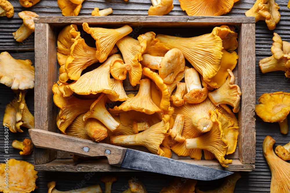 Fototapeta premium Top view of chanterelle mushrooms in a wooden box with knife on rustic wooden table close up. Food photography