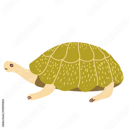 Green sea or ocean Turtle icon. Aquatic and terrestrial reptilian animal. Pet turtle for home. Vector hand drawn illustration on white background.