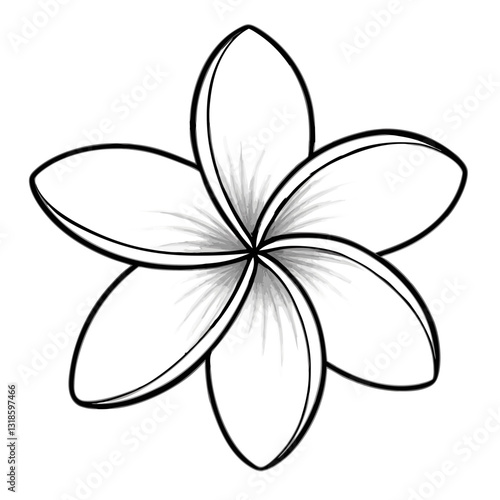 Black and white sketch of a plumeria flower