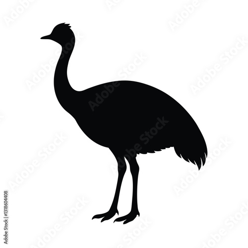 ostrich isolated on white