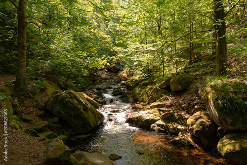 Summer in german national park