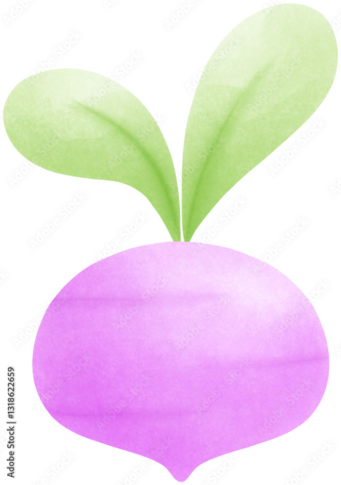 Beetroot Beetroot