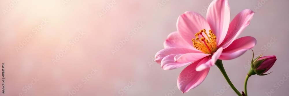 Exquisite flower in stunning detail against a clean background, bloom, clean, minimalist Exquisite flower in stunning detail against a clean background, bloom, clean, minimalist