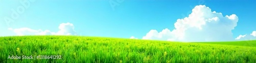 Vibrant green grass lawn under clear blue sky on a sunny day, landscape, clouds