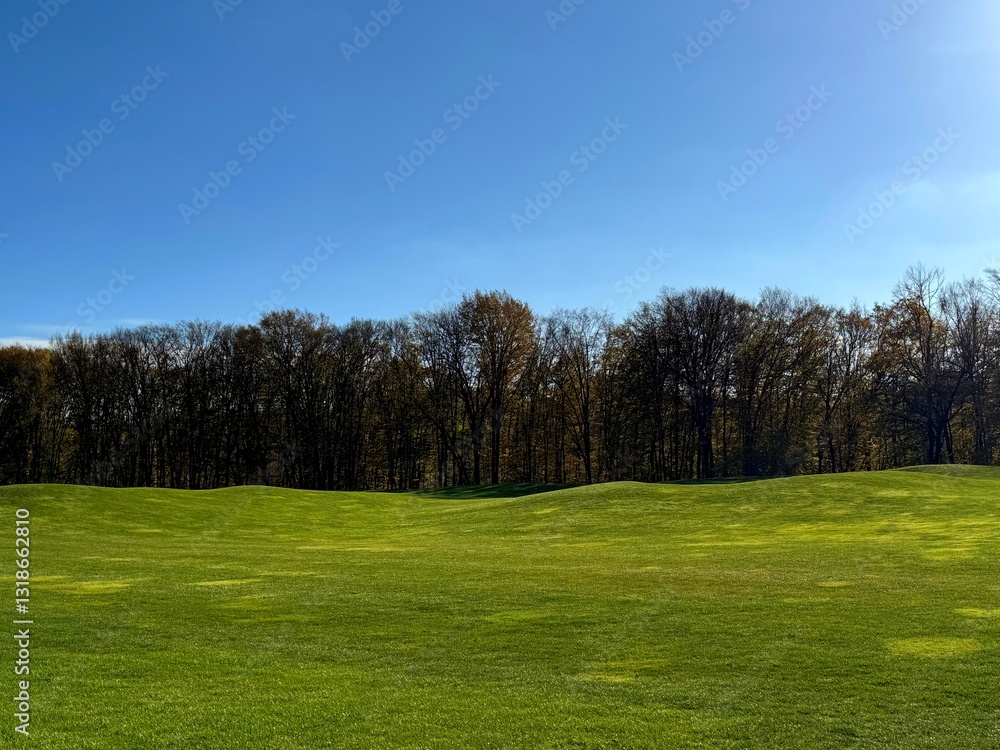 Fototapeta premium Green golf course, trees and sky.