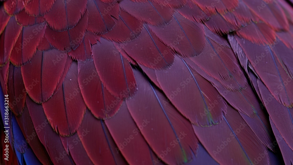 Naklejka premium Close up of Macaw feathers showcasing vibrant red colors Represents avian beauty and biodiversity