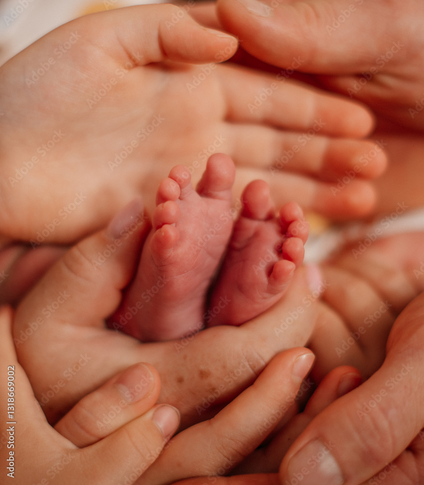 A heartwarming close-up of adult hands gently holding a newborn's tiny feet, symbolizing love and care. A heartwarming close-up of adult hands gently holding a newborn's tiny feet, symbolizing love and care.
