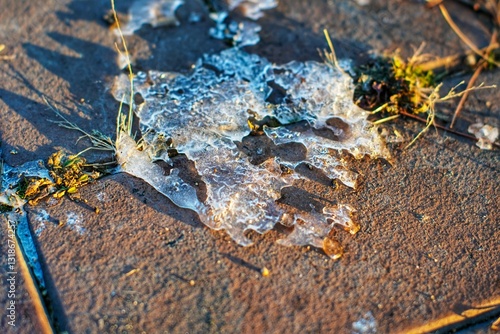Intricate crystal structure of a melting piece of ice on a sunlit paving stone, capturing the transition from winter to spring
