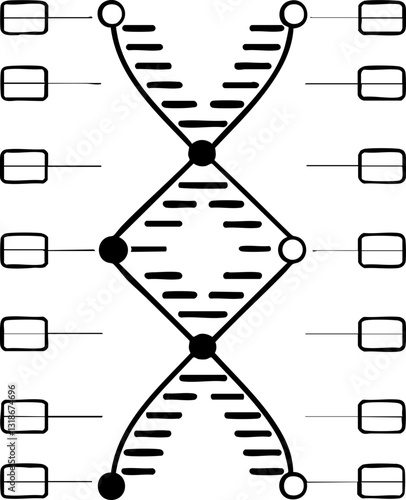 A stylized diagram representing a DNA double helix structure, illustrating molecular connections and genetic information.