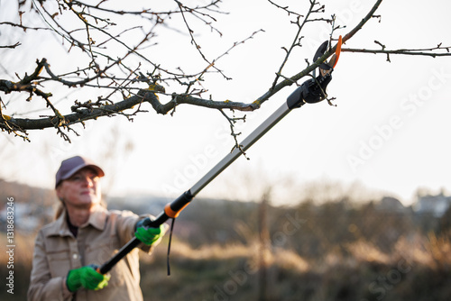 Woman working in garden, using tree pruner for seasonal tree care. Long pruning shears on extension pole