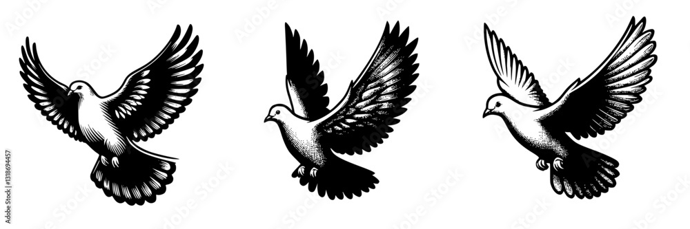 Obraz premium Three vector drawings of a flying dove. Black and white