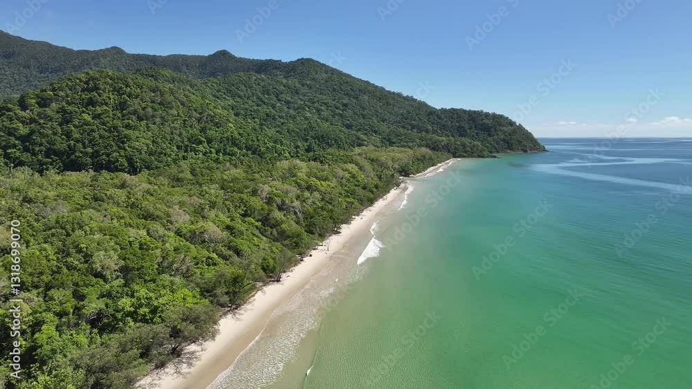 Remote Rainforest Australia Remote Rainforest Australia