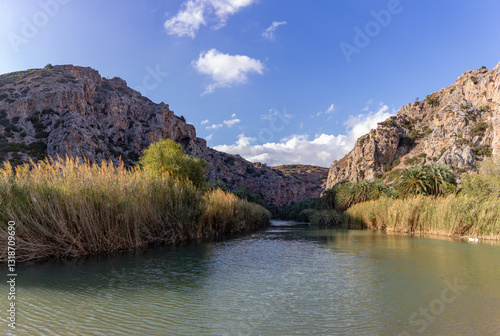 Obraz na płótnie Preveli Beach and Preveli Palm Forest w salonie