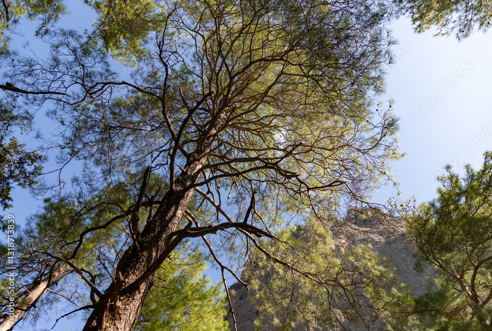 Samaria Gorge Landscape