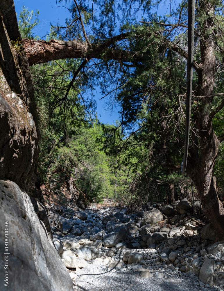 Samaria Gorge Landscape