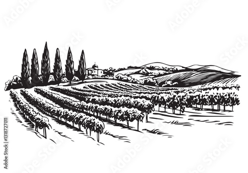 Hand drawn vineyard landscape on white