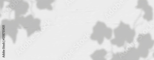 Delicate shadows of leaves and branches dance across a white concrete wall, softly overlaid with natural light and a hint of tropical foliage blur for a naturally lit composition.