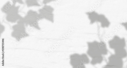 Delicate shadows of leaves and branches dance across a white concrete wall, softly overlaid with natural light and a hint of tropical foliage blur for a naturally lit composition.