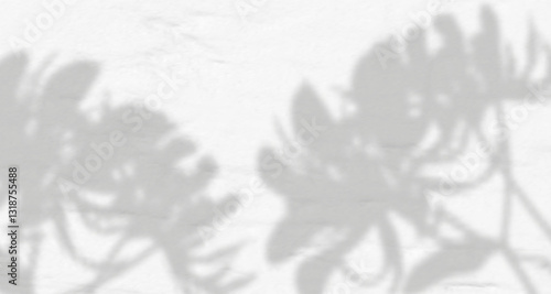 Delicate shadows of leaves and branches dance across a white concrete wall, softly overlaid with natural light and a hint of tropical foliage blur for a naturally lit composition.