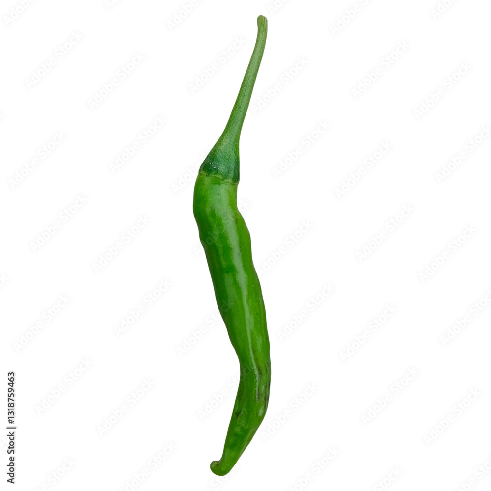A pepper on a transparent background, green hot chili pepper, green chili pepper isolated on white A pepper on a transparent background, green hot chili pepper, green chili pepper isolated on white