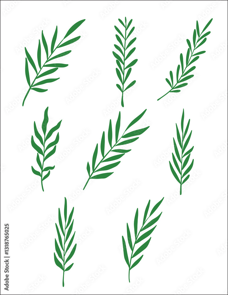 Aesthetic Organic Leaf Aesthetic Organic Leaf