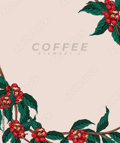 Coffee Plant illustration